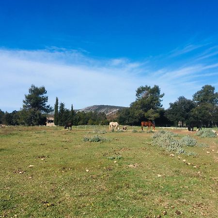 Jouques Centre Mediation Equine La Daouste 빌라 외부 사진