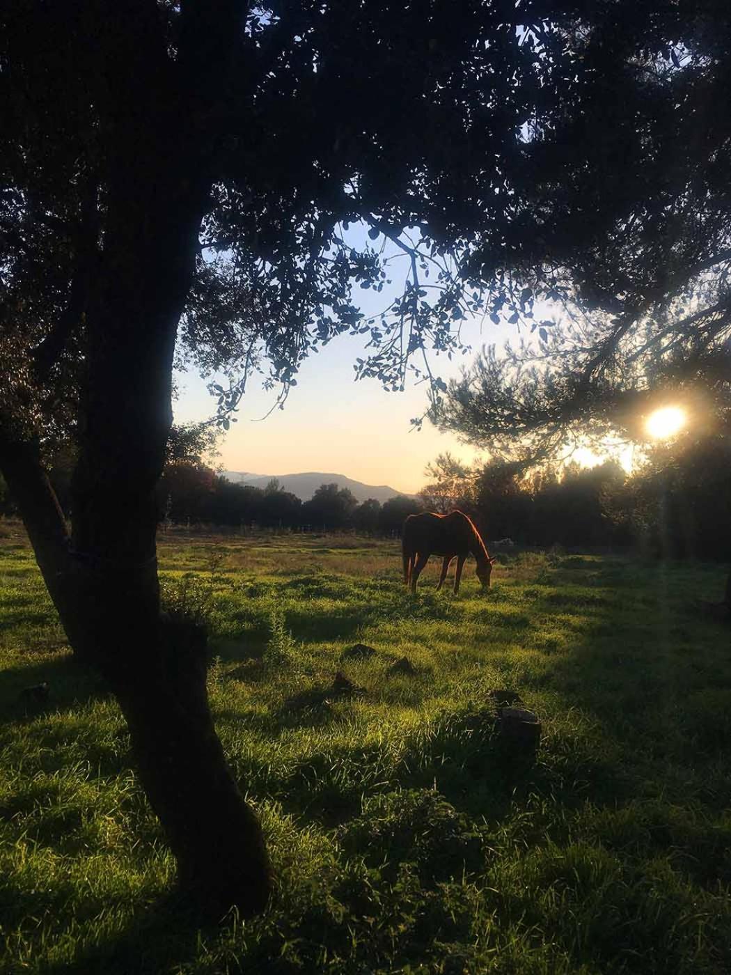 Jouques Centre Mediation Equine La Daouste 빌라 외부 사진