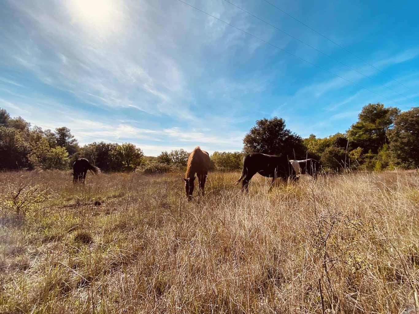 Jouques Centre Mediation Equine La Daouste 빌라 외부 사진