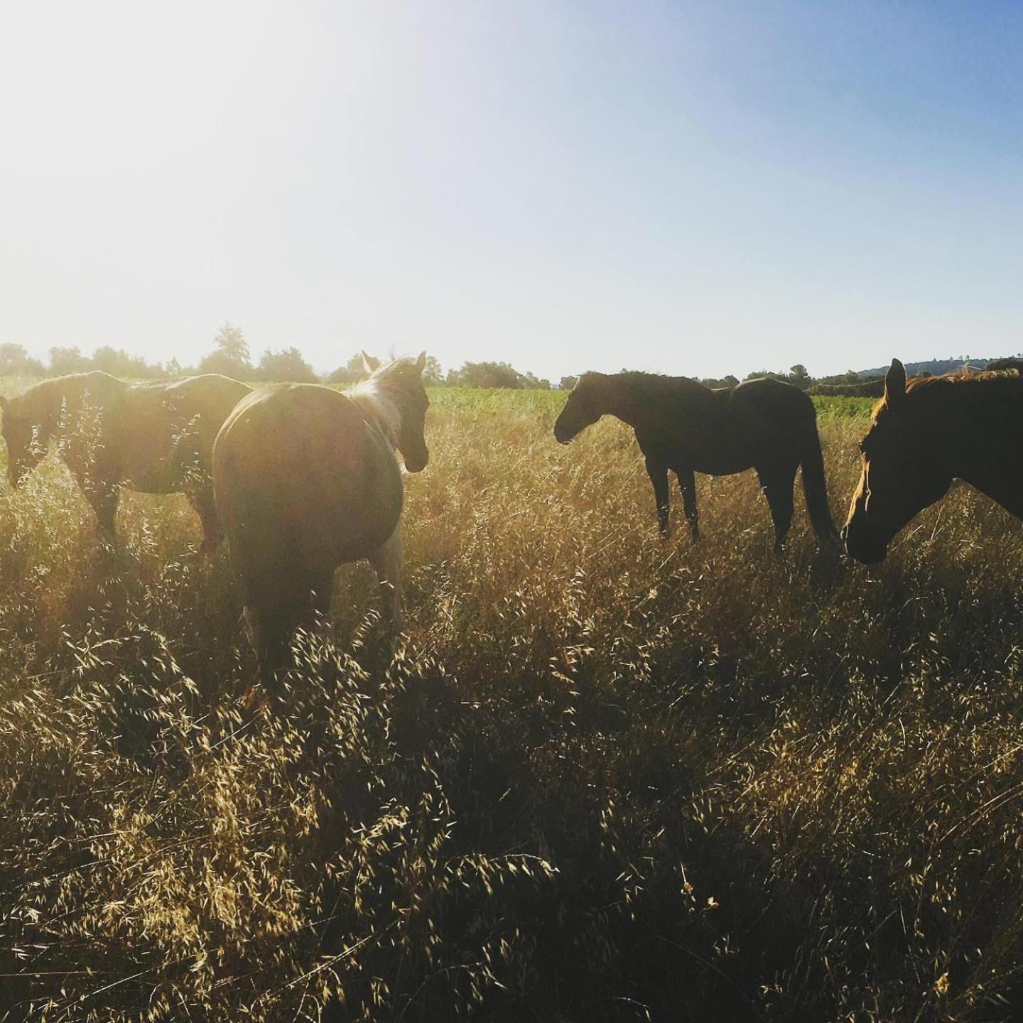 Jouques Centre Mediation Equine La Daouste 빌라 외부 사진