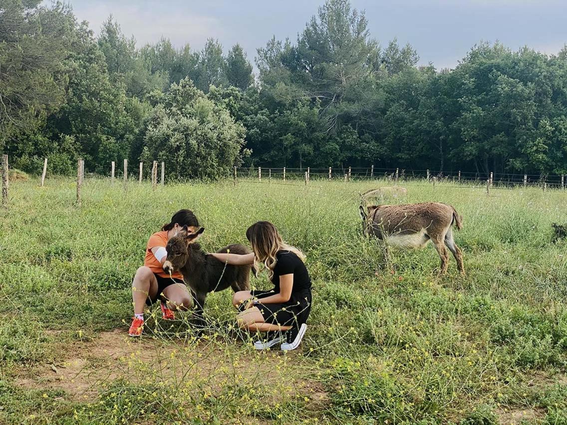 Jouques Centre Mediation Equine La Daouste 빌라 외부 사진