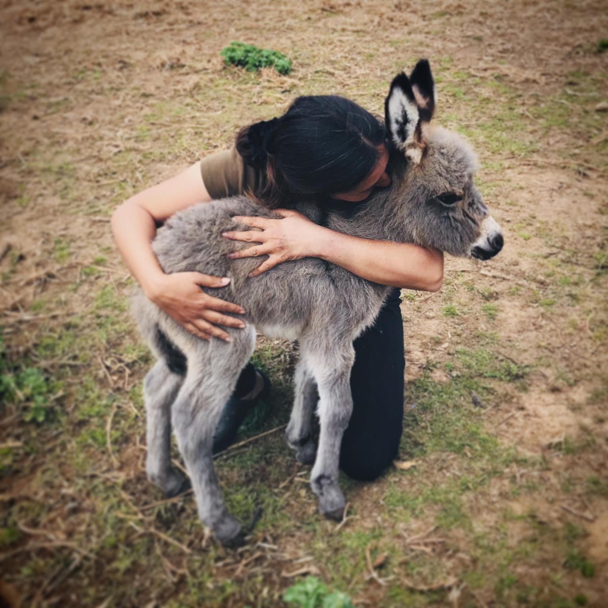 Jouques Centre Mediation Equine La Daouste 빌라 외부 사진