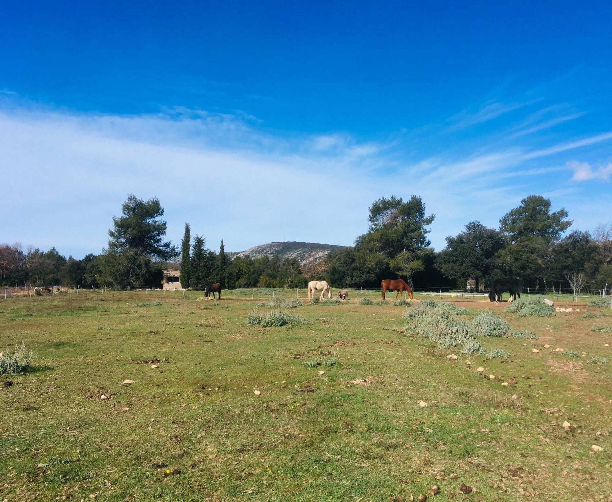 Jouques Centre Mediation Equine La Daouste 빌라 외부 사진